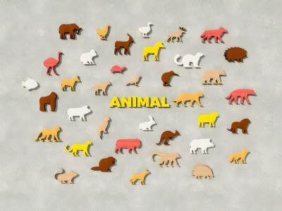 现代潮玩木质动物墙饰组合 儿童房卡通动物贴纸木板 木制卡通动物样式墙饰挂件贴纸